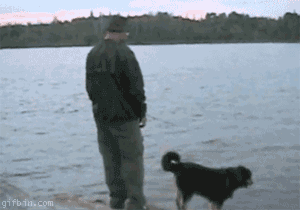 hilarious man vs dog