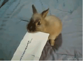 new way of sticking envelope