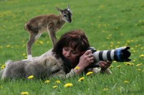 nice shot