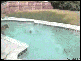 rescue dog
